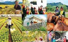 Đề xuất hợp nhất 4 chương trình mục tiêu quốc gia, tăng phân cấp cho địa phương