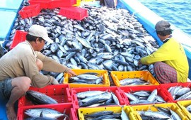 Nhận diện những 'nút thắt' để xuất khẩu thủy sản cán đích 12,5 tỷ USD