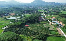 Thủ tục chuyển mục đích đất rừng sản xuất để làm nhà máy