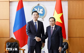 Việt Nam luôn giữ vị trí ưu tiên hàng đầu trong chính sách đối ngoại của Mông Cổ tại khu vực