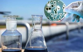Quản lý chế phẩm sinh học xử lý chất thải thế nào?