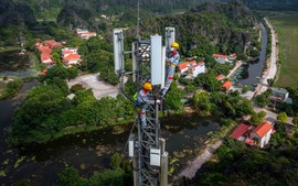Băng tần 900 MHz: Mảnh ghép giúp Viettel phủ 4G, 5G rộng và đồng đều hơn