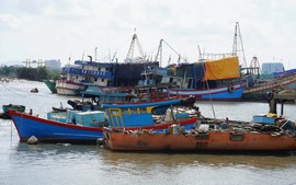Quản lý chặt tàu thuyền, chủ động ứng phó áp thấp nhiệt đới trên biển