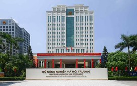 Bộ Nông nghiệp và Môi trường có 28 đơn vị trực thuộc và 44 nhiệm vụ, quyền hạn