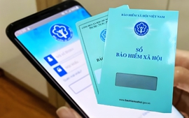 Căn cứ phục hồi thời gian đóng BHXH