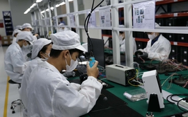 Kêu gọi đề xuất nhiệm vụ đổi mới công nghệ ứng dụng AI, tài trợ tối đa 3 tỷ đồng