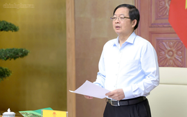 Quy hoạch lâm nghiệp phải thống nhất, sát thực tiễn, bảo đảm sinh kế người dân