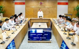 Huy động chuyên gia AI toàn cầu cho những bài toán lớn của Việt Nam