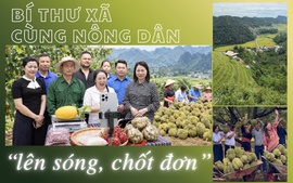 Bí thư xã cùng nông dân ‘lên sóng, chốt đơn’