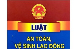 Chính phủ thông qua dự án Luật sửa đổi, bổ sung một số điều của Luật An toàn, vệ sinh lao động