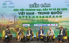 Trung Quốc không còn là thị trường 'dễ tính': ĐBSCL phải đổi cách làm