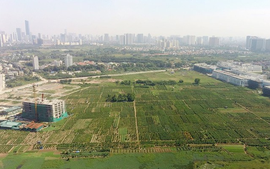 Căn cứ quy hoạch nào để thực hiện thủ tục đất đai?