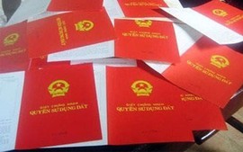 Căn cứ cấp sổ đỏ đất do cha ông để lại