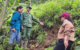 Đà Nẵng: Phát hiện vết nứt dài trên núi, sơ tán khẩn cấp 40 hộ dân