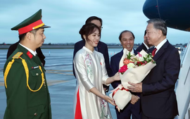 Tổng Bí thư, Chủ tịch nước Tô Lâm đến New York tham dự Phiên thảo luận cấp cao Đại hội đồng Liên Hợp Quốc khóa 81