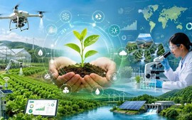 Tiêu chí phân loại, điều kiện thành lập, giải thể đơn vị sự nghiệp công lập lĩnh vực nông nghiệp và môi trường