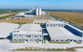 Trường hợp nào đất thuê được miễn lệ phí trước bạ?