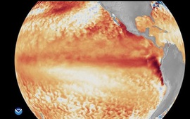 Thế giới trước một đợt El Nino mạnh: Rủi ro khí hậu và kinh tế cùng gia tăng