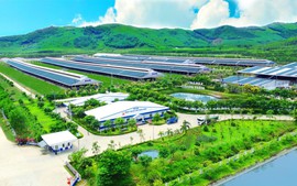 Vinamilk: "Đạt chuẩn" chưa phải là điểm dừng