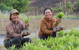 Khoa học công nghệ tạo động lực mới cho xuất khẩu nông sản