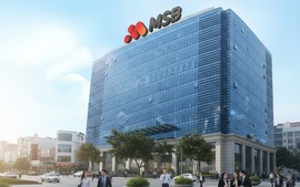 MSB mở rộng hệ sinh thái tài chính, hướng tới mô hình đa dịch vụ