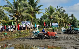 Cà Mau: Từ lợi thế 'thuận thiên' đến thương hiệu 'Lúa thơm - tôm sạch'