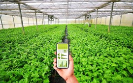 Dự kiến cơ chế sử dụng ngân sách nhà nước hỗ trợ hợp tác xã, liên hiệp hợp tác xã