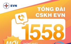 Điện lực miền Nam cảnh báo khách hàng về các thủ đoạn giả mạo, lừa đảo