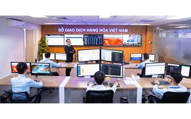 Từ 15/9, Sở giao dịch hàng hóa phải cung cấp dữ liệu theo thời gian thực