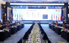 Thông qua Tuyên bố chung về tăng cường hợp tác khu vực ASEAN về đấu tranh với tội phạm truy nã