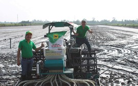 Hiệu quả mô hình lúa-tôm và sức khỏe đất sau mỗi mùa vụ