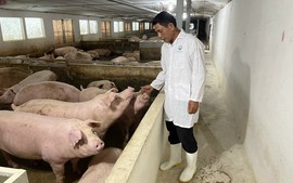 Chăn nuôi an toàn: Thu hẹp khoảng cách từ “biết” đến “làm”