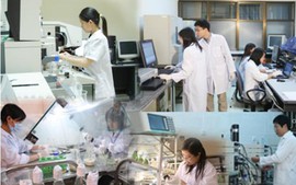 11 nhóm vị trí công tác lĩnh vực khoa học, công nghệ tại chính quyền địa phương phải định kỳ chuyển đổi