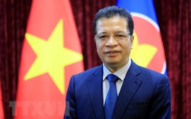 Việt Nam, Liên bang Nga chia sẻ quyết tâm củng cố, làm sâu sắc quan hệ song phương