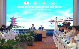 Tăng cường kết nối, mở rộng hợp tác, đầu tư giữa Huế và Nhật Bản