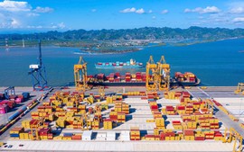 Tăng cường kiểm tra, hạn chế tàu thuyền Việt Nam bị lưu giữ tại nước ngoài