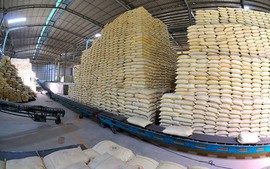 Chỉ đạo, điều hành của Chính phủ, Thủ tướng Chính phủ ngày 7/9/2026