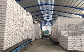 Quy định về nhập, xuất hàng dự trữ quốc gia