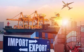 Thu ngân sách từ hoạt động xuất nhập khẩu 8 tháng đạt hơn 352 nghìn tỷ đồng, tăng 17,4%
