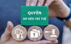 Thực thi quyền sở hữu trí tuệ: Tăng xử lý hình sự, siết vi phạm trên môi trường số