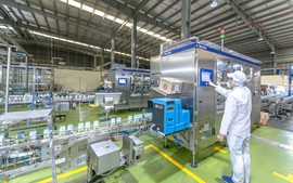 AIG tiếp tục phát triển hệ sinh thái bền vững từ vùng nguyên liệu đến cộng đồng