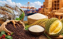 Nông sản Việt: Chuyển lợi thế thành giá trị, xây dựng thương hiệu
