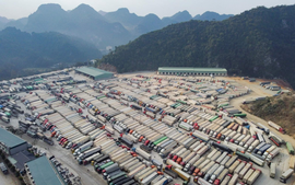 Gov’t orders formulation of working group to resolve cargo congestion at northern border gates