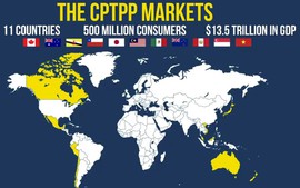 Viet Nam’s exports to CPTPP countries up 38.7% in Jan-Aug period