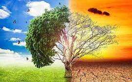 Climate action high in UN Secretary-General's visit to Viet Nam
