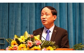 Binh Dinh has new Chairman