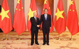Party General Secretary meets Chinese Premier