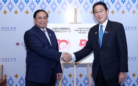 Viet Nam seeks Japan's assistance for renewable energy development