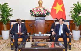 Viet Nam is Angola's priority partner in the region
