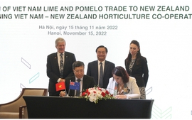 Two more Vietnamese fruits allowed to export to New Zealand